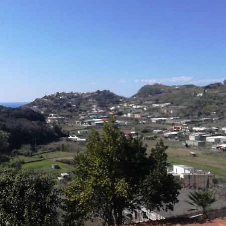 Tramonto Foriano Villa Forio di Ischia Esterno foto